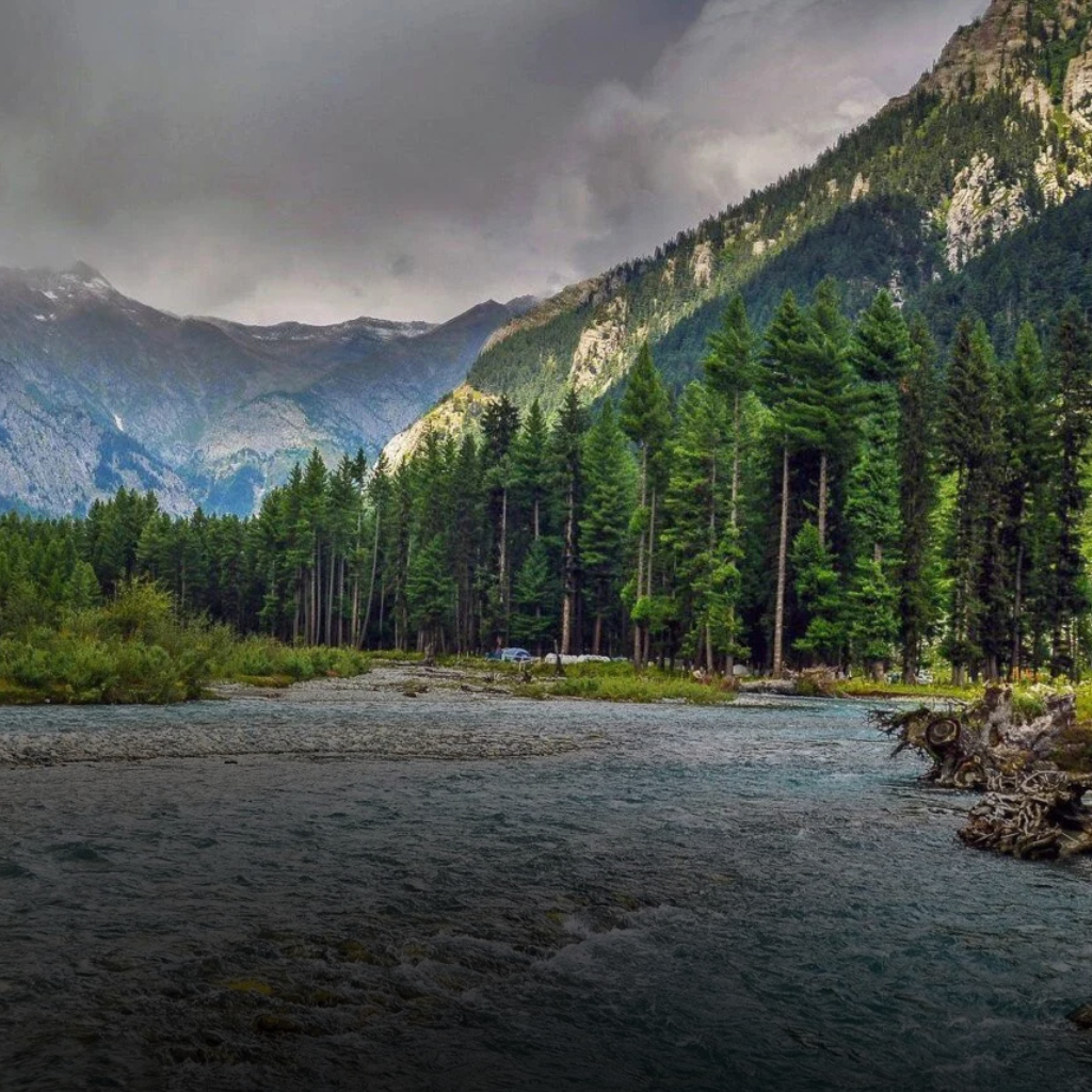 Untitled design (72)